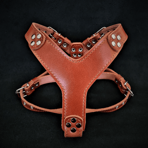 Arnés Style Marrón para Perros Bestia - Talla S - Bulldog francés