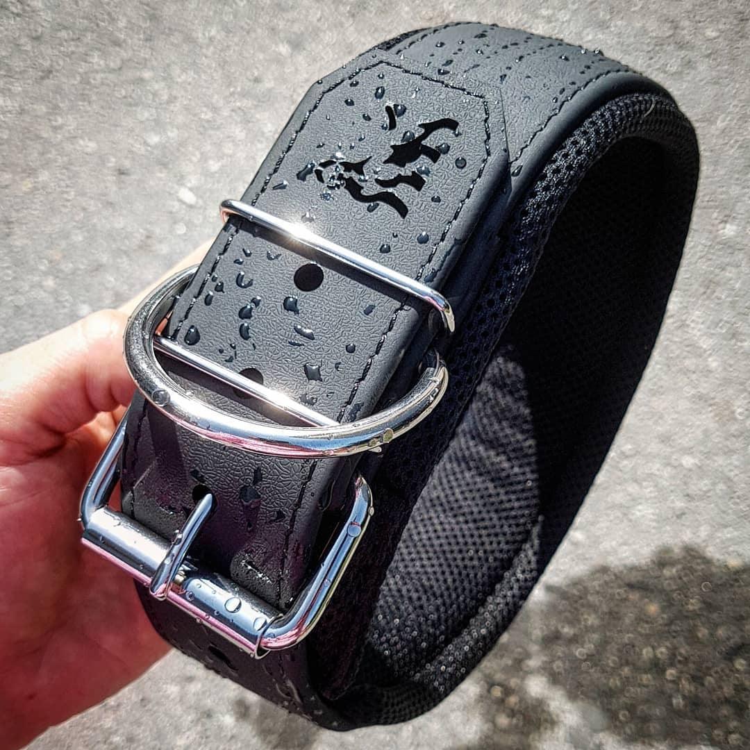 Collar Deportivo Ajustable para Perros Bestia