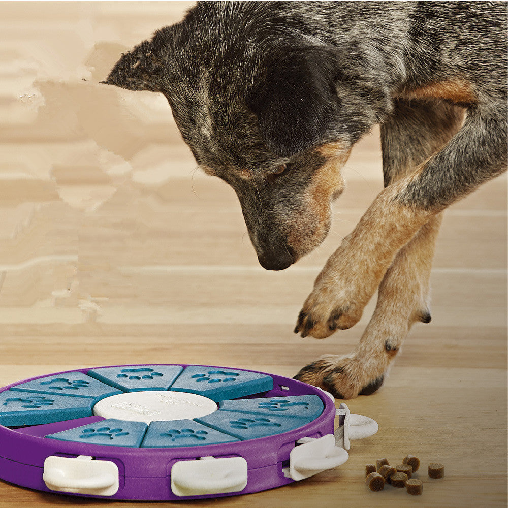 Juguete Educativo Interactivo para Perros