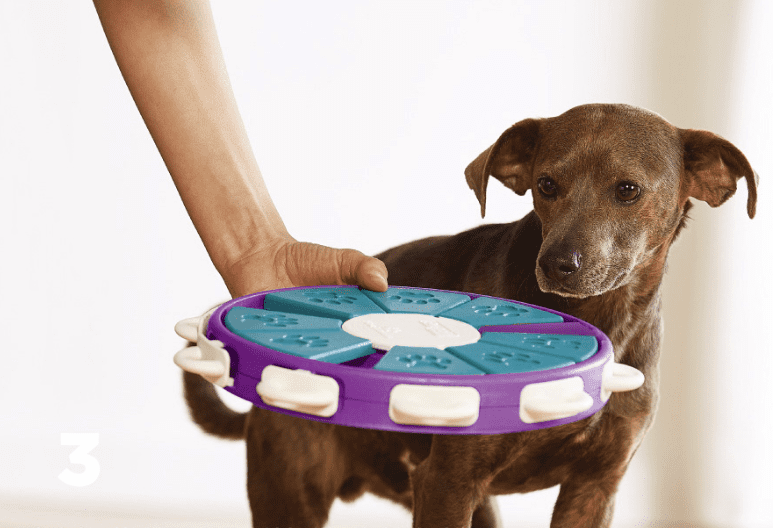 Juguete Educativo Interactivo para Perros