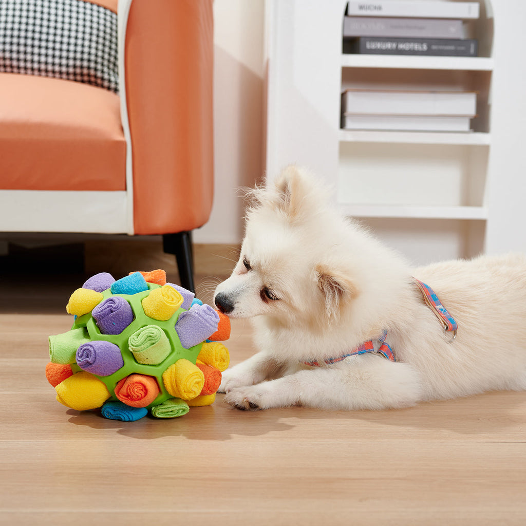 Pelota Olfativa Interactiva para Perros - HLQCHD